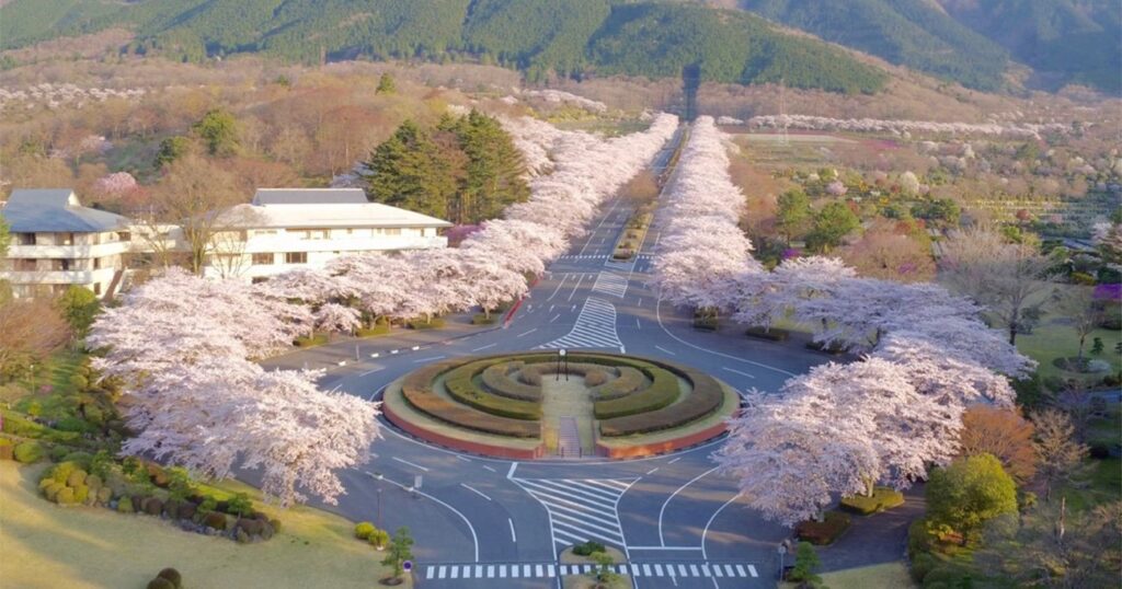 家族だから愛したんじゃなくて愛したのが家族だったロケ地