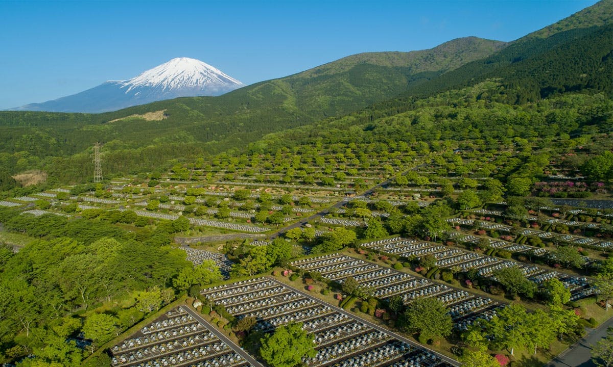 家族だから愛したんじゃなくて愛したのが家族だったロケ地