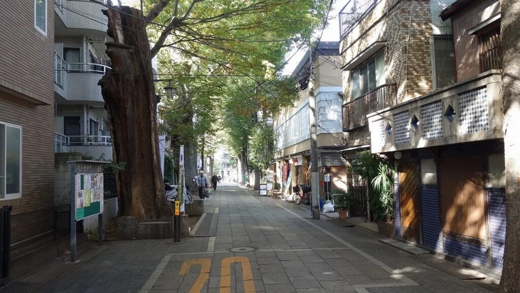 【けものになれない私たちロケ地】木漏れ日が差す石畳の並木道と道の両側にあるマンションや商店