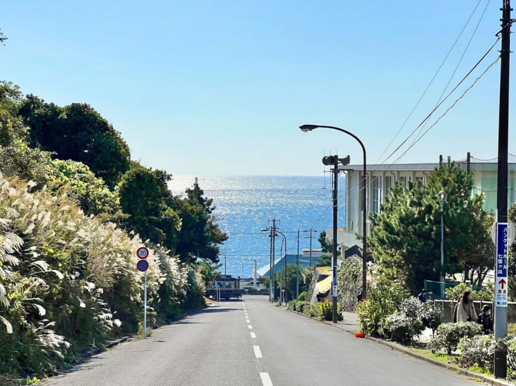 【真夏のシンデレラロケ地】海が見える坂道と草むら、道路標識がある風景