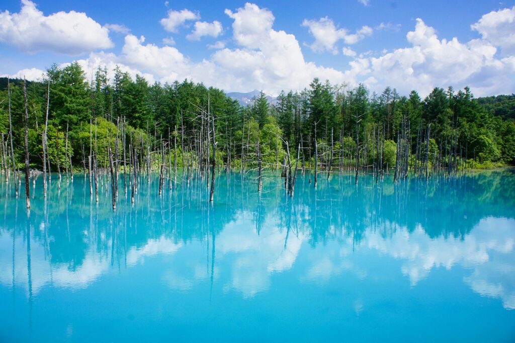 【Blue Pond】A beautiful blue lake with trees rising from the water reflecting the sky and clouds