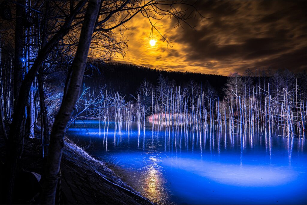 【Blue Pond】A beautiful lake reflecting trees and a bright moon at night
