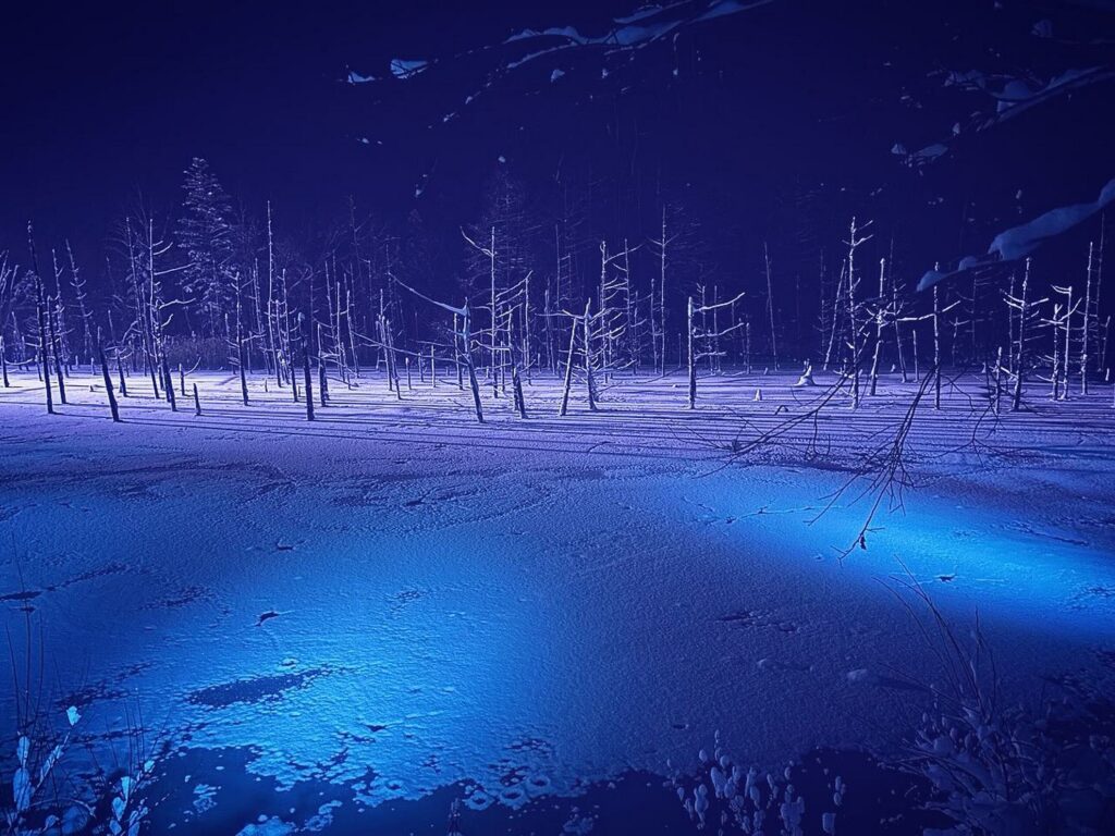 【Blue Pond】A winter landscape featuring a frozen pond with tree stumps sticking out of the ice and snow covered trees in the background