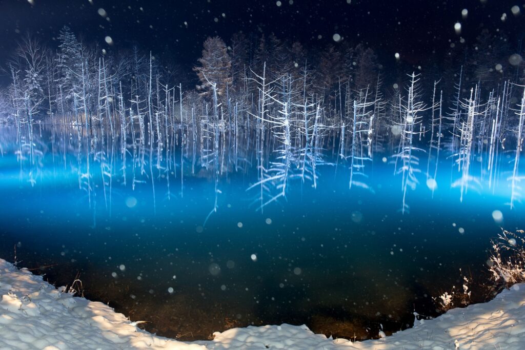 【Blue Pond】A winter scene of a blue pond with trees covered in snow reflecting in the water