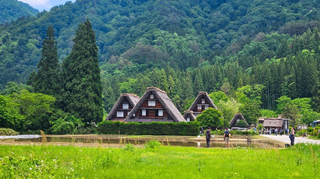 【Shirakawa-go】historic Japanese village with gassho-zukuri houses and vibrant green rice paddies surrounded by mountains