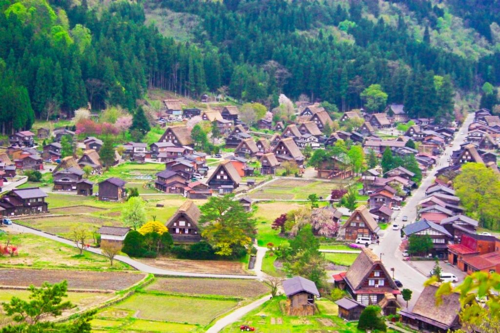 【Shirakawa-go】Panoramic view of traditional Japanese village with steep thatched roof houses nestled in green fields and mountains