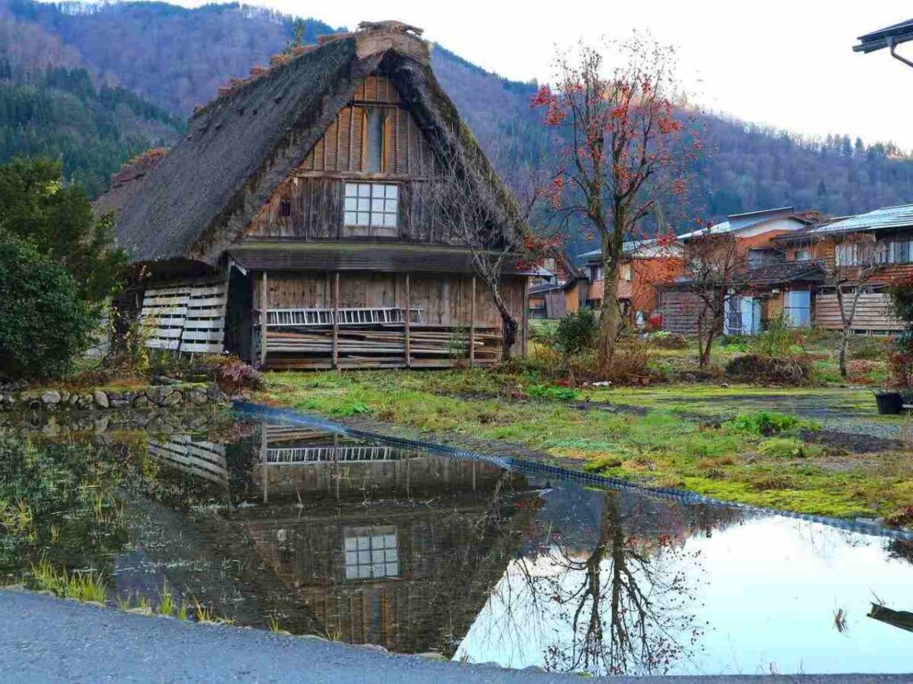 【Shirakawa-go】A traditional Japanese gassho zukuri house with a thatched roof reflected in still water in a mountain village