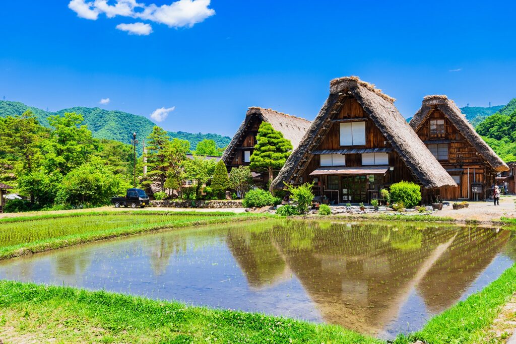 【Shirakawa-go】Traditional gassho zukuri houses with thatched roofs reflected in a rice field under a clear blue sky